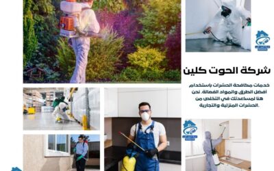 مكافحة النمل الأبيض في الخبر