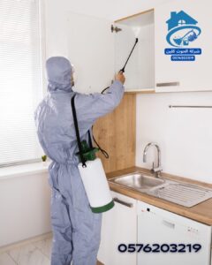 شركة ابادة النمل الابيض بالاحساء