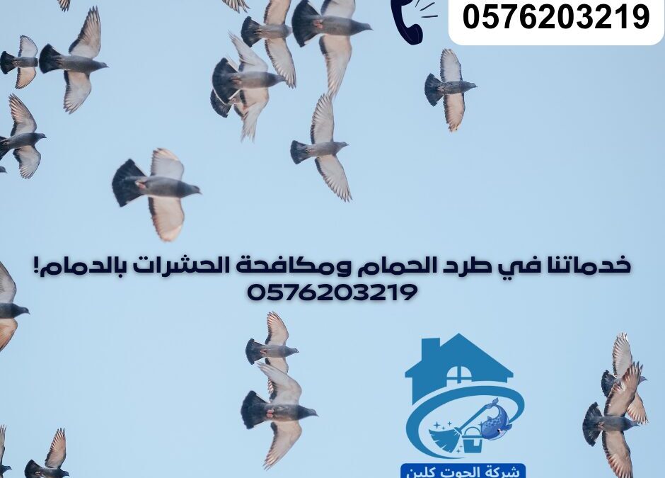تركيب طارد الحمام بالدمام