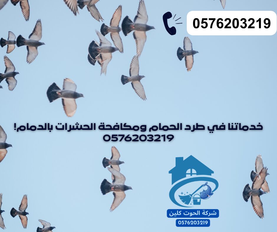 شركة مكافجة الحشرات