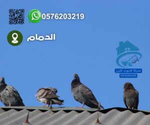 أفضل شركة تركيب طارد حمام بالدمام