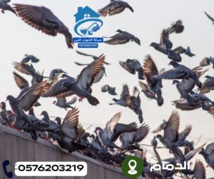 شركة طارد حمام بالخبر