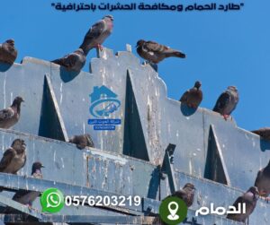 تركيب طارد الحمام بالدمام